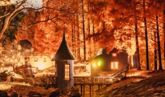 「現実の風景じゃないみたい」「絵本の中」埼玉にあるムーミン谷の秋の夜がすんごいと話題に!