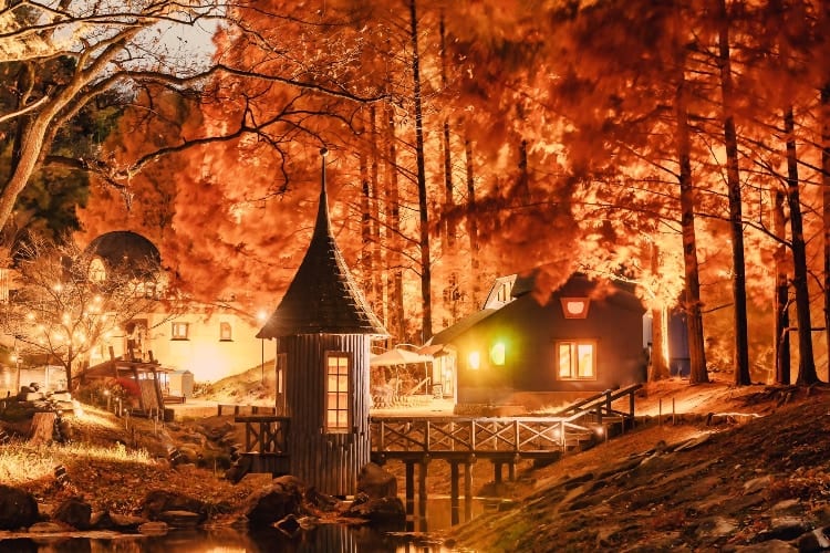 「現実の風景じゃないみたい」「絵本の中」埼玉にあるムーミン谷の秋の夜がすんごいと話題に！