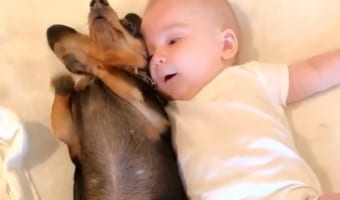 「一緒にねんねするワン♪」子犬が嬉しそうに赤ちゃんに寄り添う動画が可愛すぎて癒される