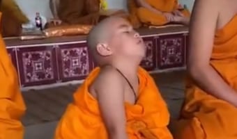 【動画】幼い僧侶はまだ煩悩に勝つことは出来なかった。しかし、可愛すぎて尊い!