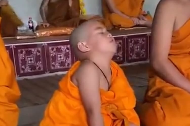 【動画】幼い僧侶はまだ煩悩に勝つことは出来なかった。しかし、可愛すぎて尊い！