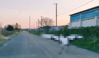 車が追い抜いていったと思ったら・・・車ではなく意外なものすぎて驚いた!