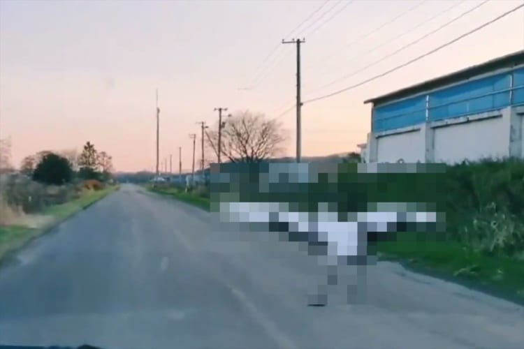 車が追い抜いていったと思ったら･･･車ではなく意外なものすぎて驚いた！