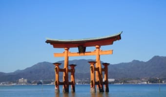 修繕中でも美しすぎる！厳島神社・大鳥居のライトアップ“修繕中バージョン”が幻想的！