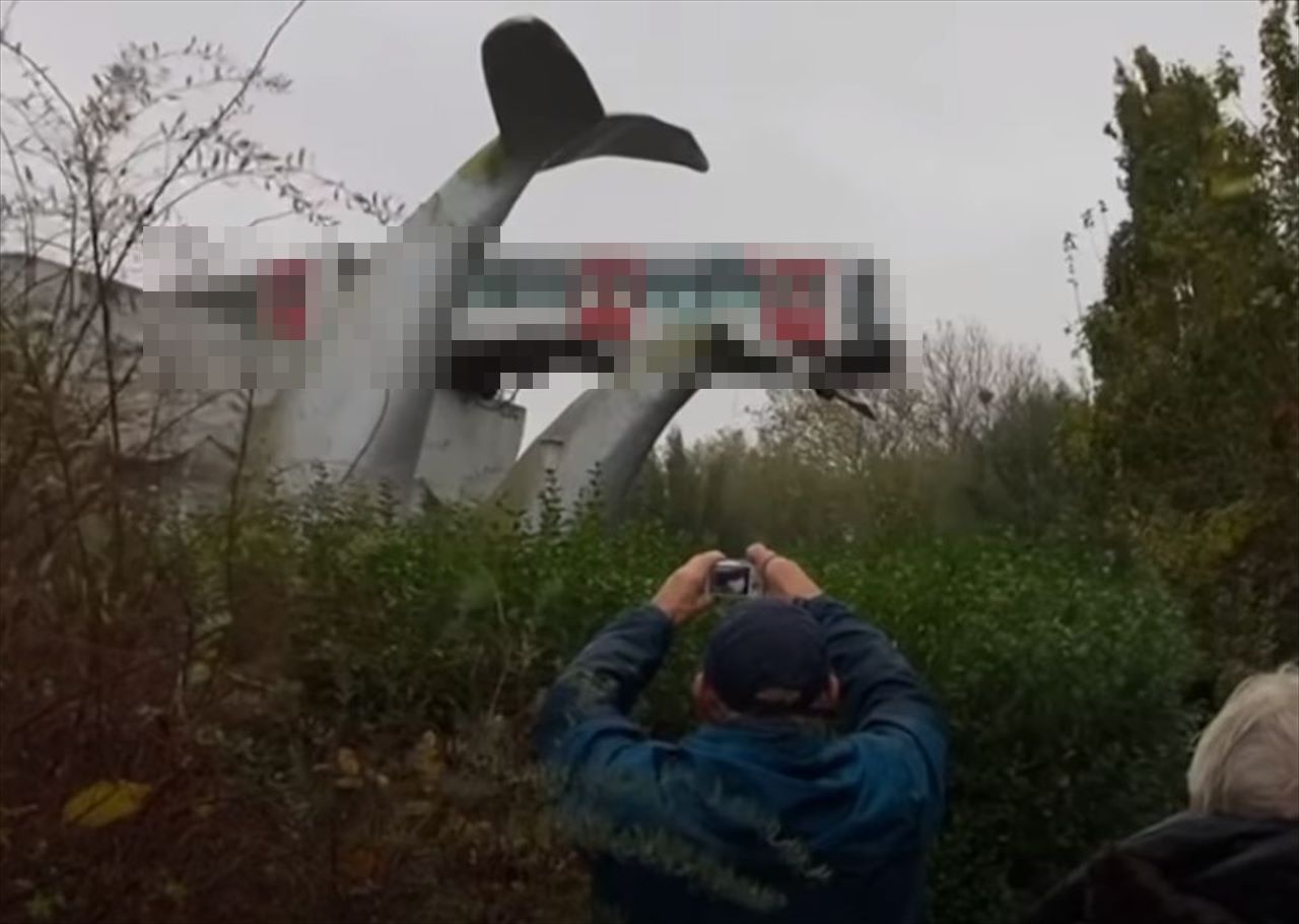 えっ!?マジかよ・・・クジラの彫刻にトンデモナイものが激突していた!驚愕の光景が話題に