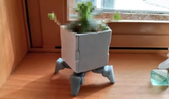 まるで手を伸ばして踊ってるみたい(笑) 楽しげな多肉植物とロボットみたいな鉢が話題に！