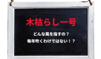 「木枯らし一号」が吹くと冬が来る?そもそも木枯らしとはいったいどんなもの?