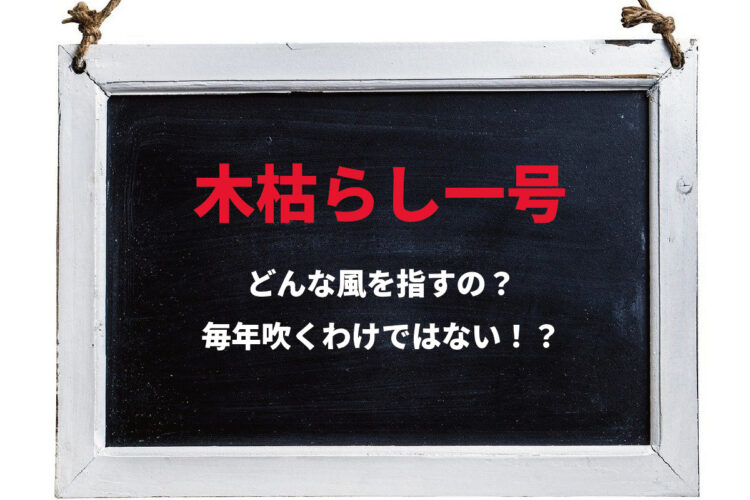 「木枯らし一号」が吹くと冬が来る？そもそも木枯らしとはいったいどんなもの？