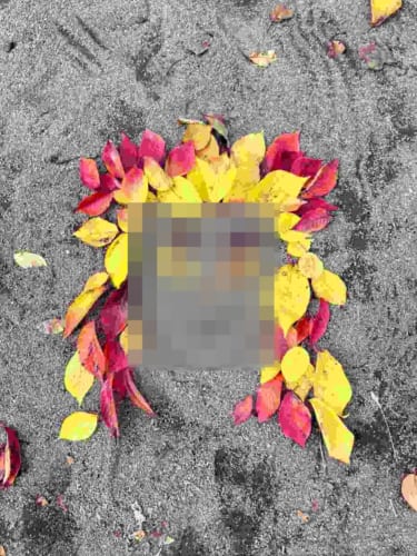 再現度が高すぎる！落ち葉を集めて作った「鬼滅の刃」の煉獄杏寿郎が激似だと話題に！