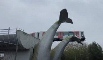 えっ！？マジかよ！電車が停止線をオーバー！落下の危機を救ったのはクジラのオブジェだった！