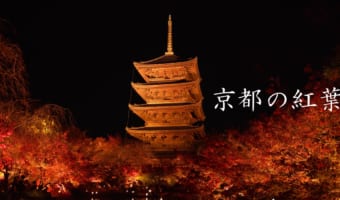 紅葉狩りに行けない人もこれを見れば大丈夫！京都の紅葉をまとめた動画で行った気になれる！