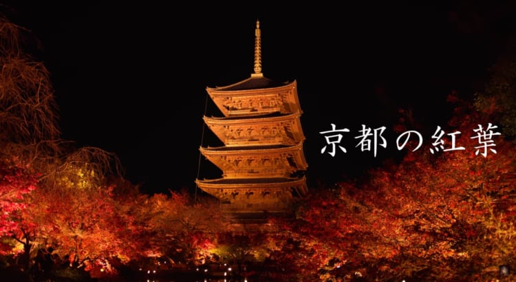 紅葉狩りに行けない人もこれを見れば大丈夫！京都の紅葉をまとめた動画で行った気になれる！