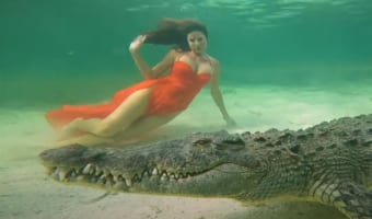 まるでディズニー映画のワンシーンのよう・・・ワニと至近距離で撮影する様子が話題に!