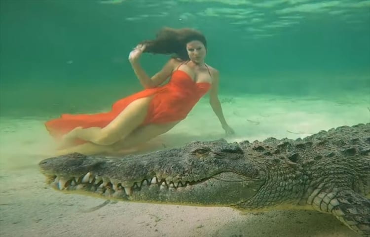 まるでディズニー映画のワンシーンのよう･･･ワニと至近距離で撮影する様子が話題に！