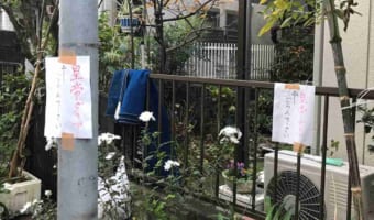 皇帝ダリアがどこかに咲いているのか?絶対に罠だと思って貼り紙をたどっていくと・・・