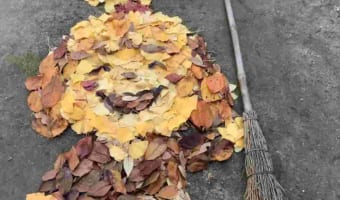 凄まじい完成度!高校教員が魅力ある授業づくりの一環で始めた“落ち葉アート”が話題に!