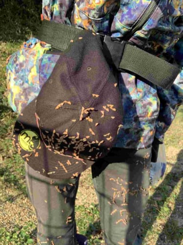 一度つくとなかなか取れない･･･このタイプの“ひっつき虫”を簡単に取れるライフハックが話題に！