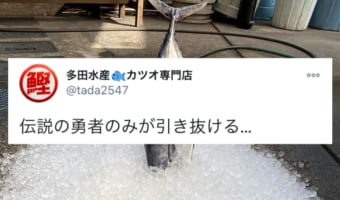 伝説の勇者のみが引き抜ける聖剣エクスカリバーならぬ、”聖剣カツオカリバー”が話題に!