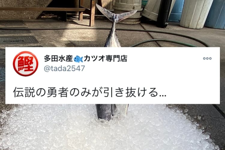 伝説の勇者のみが引き抜ける聖剣エクスカリバーならぬ、”聖剣カツオカリバー”が話題に！