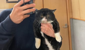 愛猫と素敵な写真を撮ろうと思ったらこれ。“しぶしぶ感”丸出しなニャンコの表情に笑った