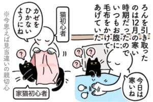 意外とあるあるかも？人間ぽい文化に染まってしまった可能性がある猫の絵日記が話題に