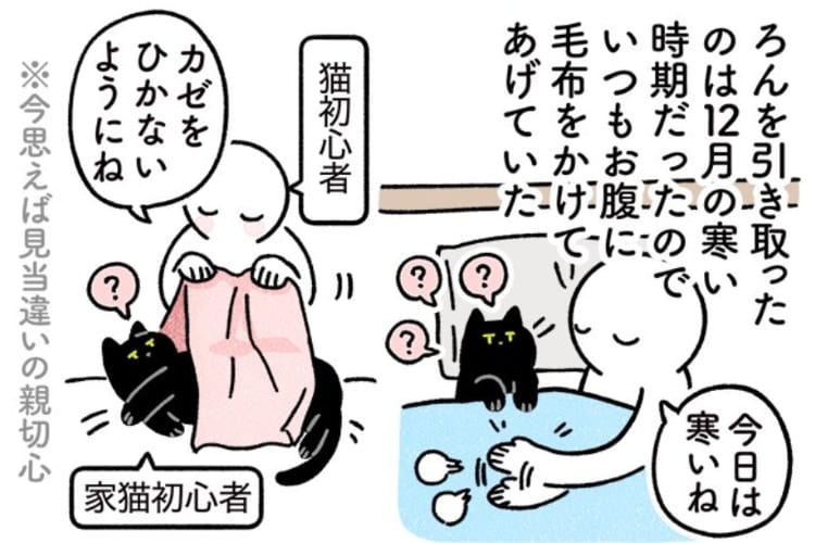 意外とあるあるかも？人間ぽい文化に染まってしまった可能性がある猫の絵日記が話題に