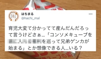 コンソメキューブを巡って兄弟ゲンカが勃発！想像できなかった子育ての大変さに”あるある”の声