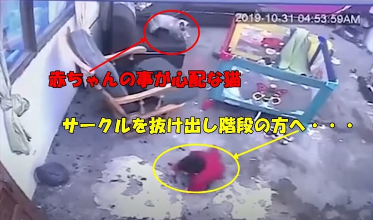 【猫のお手柄】赤ちゃんの階段からの転落危機を身を挺して止めたニャンコが凄すぎる！