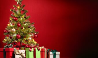クリスマスに飾られる「モミの木」、なにを象徴している木?キリストと何か関係あるの?