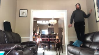 パパはどこ？隠れた飼い主をなかなか見つけられないワンコが可愛い！