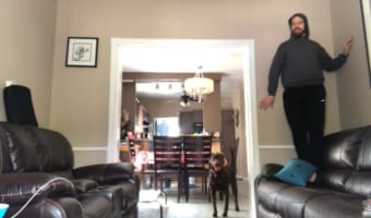 パパはどこ？隠れた飼い主をなかなか見つけられないワンコが可愛い！