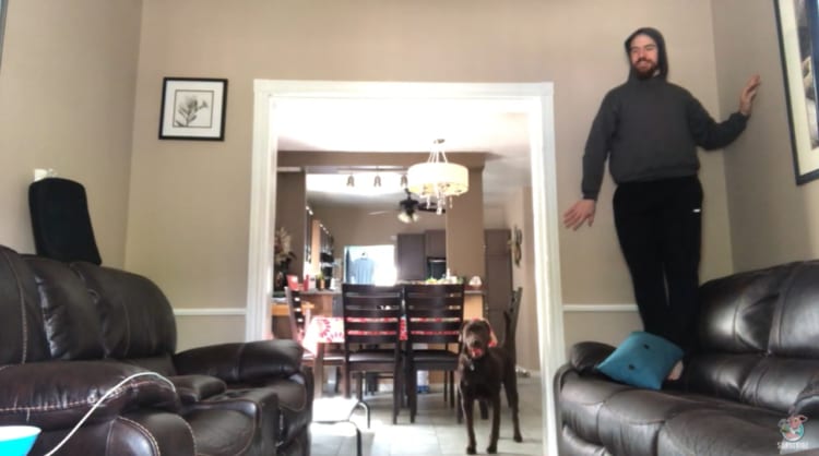 パパはどこ？隠れた飼い主をなかなか見つけられないワンコが可愛い！