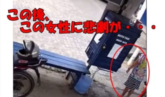 これは恥ずかしい!!女性に遊んでほしかったワンコが飛びついてスカート脱がしちゃった!?