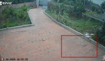 【怪奇現象】監視カメラが捉えた正体不明の動く影?!その正体は未だに謎