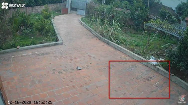 【怪奇現象】監視カメラが捉えた正体不明の動く影？！その正体は未だに謎