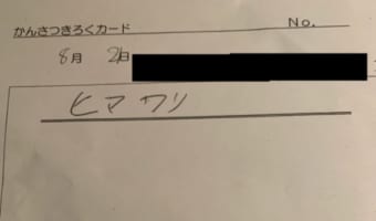 「そりゃそうだよね」ってなる息子のヒマワリ観察記録が面白すぎる！