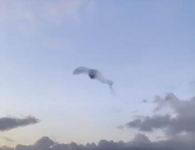 【一生に一度の光景】何千羽ものムクドリの群れが起こした信じられない瞬間が話題に！