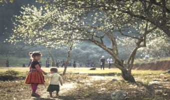 小正月っていつのこと?正月とは何が違って、なにをしたらいいの?