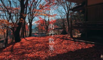 動画で巡る京都の穴場スポット散策!GoToキャンペーンが無くても大丈夫♪