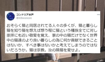 「汝の隣猫を愛せよ」猫と一緒に暮らしている人々へ向けたツイートに多くの共感の声