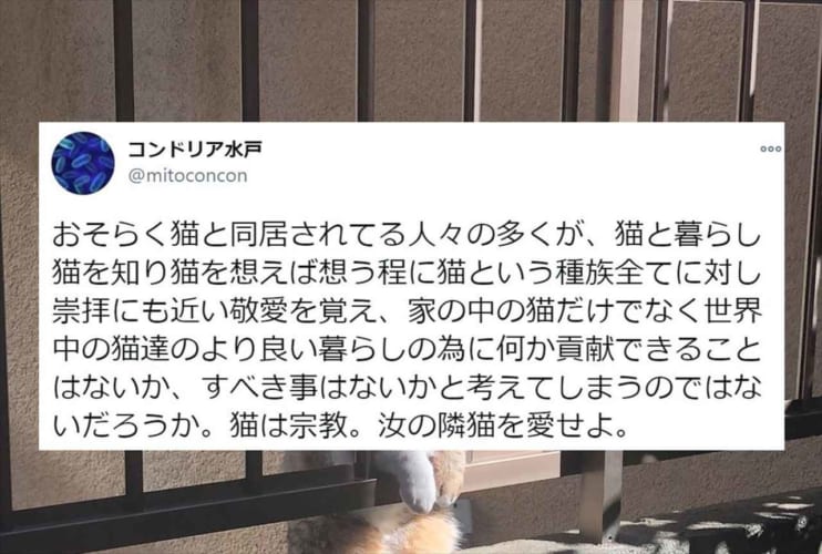 「汝の隣猫を愛せよ」猫と一緒に暮らしている人々へ向けたツイートに多くの共感の声