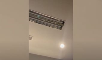 【恐ろしい瞬間】物音がするオフィスの天井から・・・突然トンデモナイものが落ちてきた!