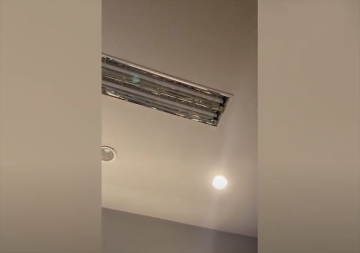 【恐ろしい瞬間】物音がするオフィスの天井から･･･突然トンデモナイものが落ちてきた！