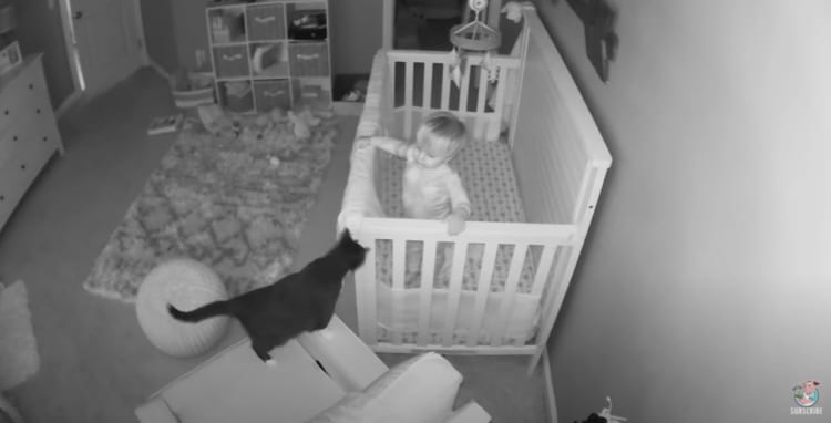 監視カメラは見た！おやすみの後の猫と赤ちゃんの秘密の会話に癒される