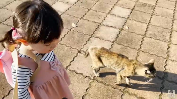 1歳児と猫の不思議な会話動画が尊い！猫と女の子の会話動画に癒される