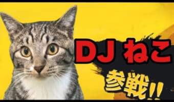DJねこってどういうこと?見ればわかる!DJねこの可愛いスクラッチテクをご覧あれ!!