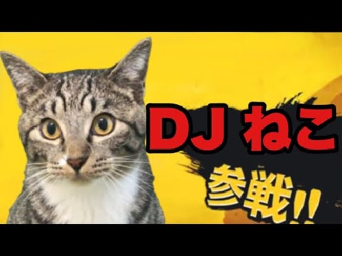 DJねこってどういうこと？見ればわかる！DJねこの可愛いスクラッチテクをご覧あれ！！