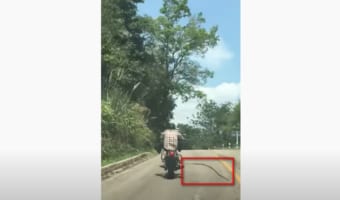 【衝撃映像】スネークアタック！！大蛇によるバイク襲撃！野生のヘビが走行中のバイクの運転手に襲い掛かる！！