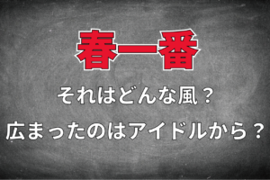 「春一番」に込められた意味とは？実は一定の強い風が来なかったら春一番は無いんです！