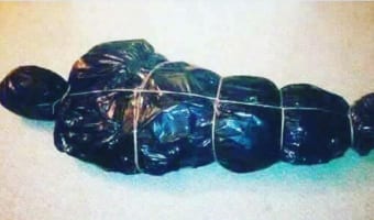 オランダ警察のクリスマスツリー廃棄に関する注意喚起がヤバすぎる・・・!